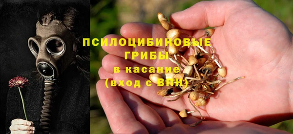 герыч Алзамай