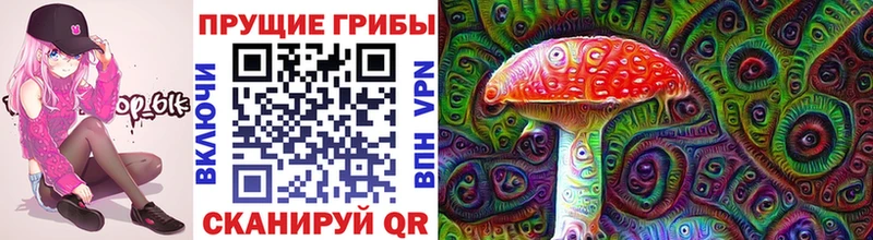 блэк спрут ссылка  Калачинск  Галлюциногенные грибы Psilocybine cubensis 